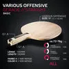 SOULSPIN Various Offensive Holz Allround Spin