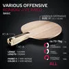SOULSPIN Various Offensive Holz Allround Spin
