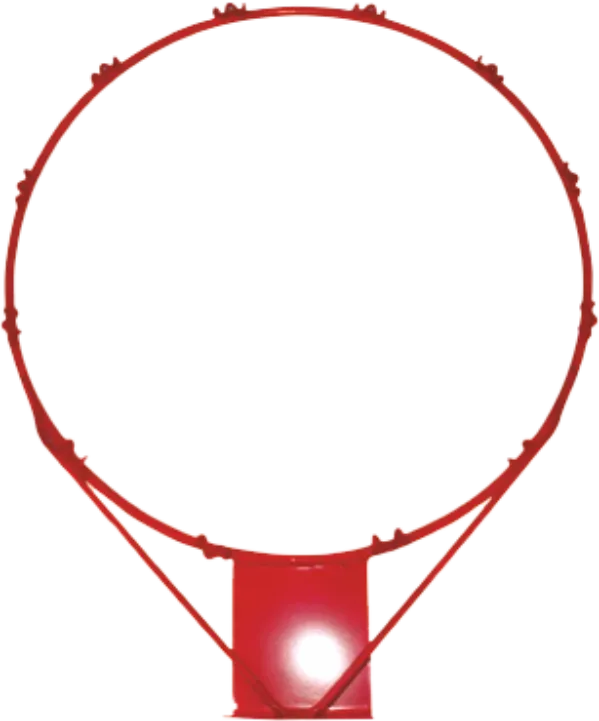 Stag Iconic Basketball Ring Standard